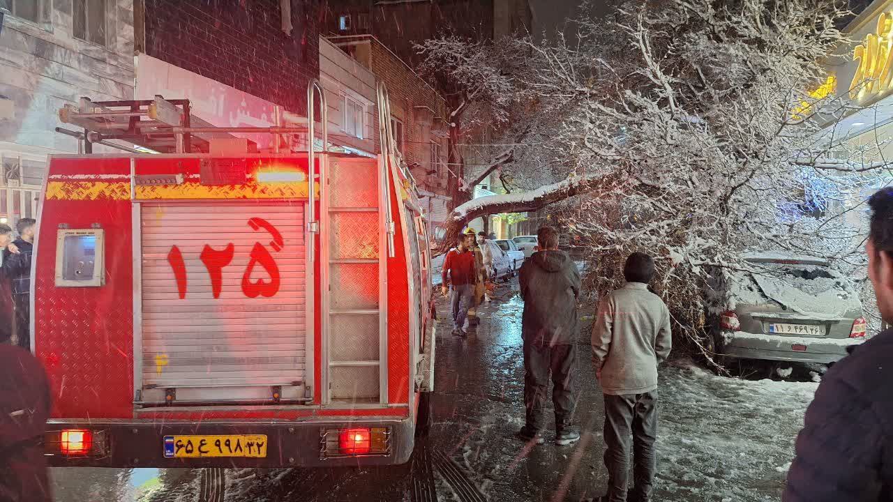 photo_۲۰۲۵-۱۲-۱۹_۲۰-۴۸-۲۹ (3)