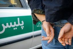 زمینگیری سارقان کارگاه ها در شهر ری