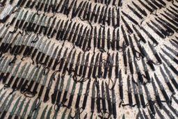 کشف هزاران سلاح سرد از مخفیگاه اراذل و اوباش شیراز 