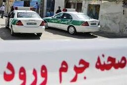 راز استخوان‌های کشف‌شده در کارواش برملا شد