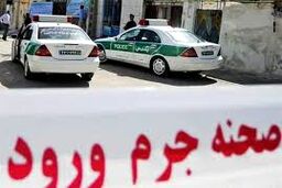 راز استخوان‌های کشف‌شده در کارواش برملا شد