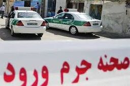 راز استخوان‌های کشف‌شده در کارواش برملا شد