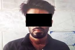 سردسته باند سرقت مسلحانه از خانه‌ها دستگیر شد