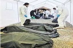 کلاهبردار بزرگ با 383جسد 
