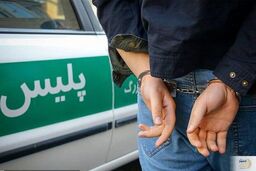 دزدی‌های سریالی تعمیرکار قلابی با شگرد بیهوشی 