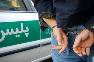 دستگیری یک مزدور در داراب/ ویدئو 