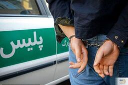تعدادی از متهمان مرتبط با رژیم صهیونیستی در یزد دستگیر شدند 