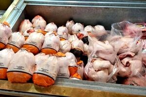 هزار تن مرغ احتکاری در مشهد کشف شد