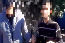 متلاشی شدن باند سارقان سیم برق در بابل/ ویدئو