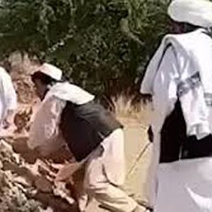 حمله افغانی‌ها به قبر منسوب به ابوجهل در عربستان/ ویدئو
