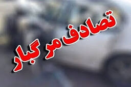 مرگ دلخراش کودک 9 ساله در واژگونی خودرو / مصدومان به بیمارستان منتقل شدند 