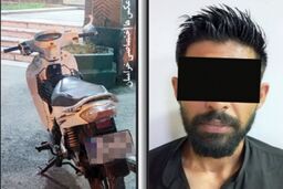 پلیس «جوجه تیغی» را به دام انداخت