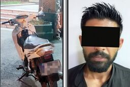 پلیس «جوجه تیغی» را به دام انداخت
