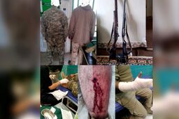 دستگیری شکارچیان متخلف در سفید کوه