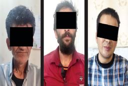 باند دزدان سابقه دار متلاشی شد