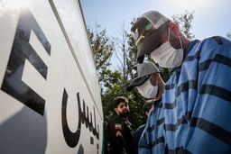 سارقان مسلح ستارخان دستگیر شدند/ ویدئو