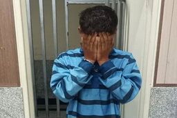 ترفندی عجیب برای سرقت از برج نشین ها