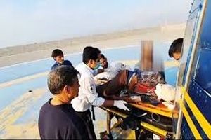 نجات معجزه‌آسای چوپان از حمله خرس سیاه 