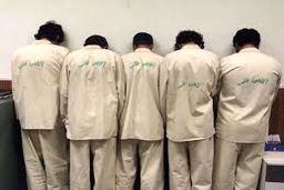 باند دلالی اعضای بدن پای میز محاکمه می‌رود