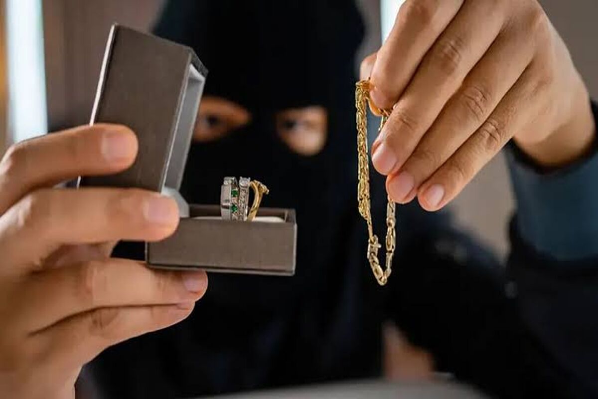 سرقت از خانه آزاده نوری، بلاگر ایرانی؛ دزدان همه چیز را بردند/ ویدئو