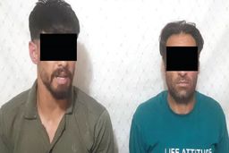 واکاوی جنایت هولناک خیابانی