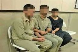 اعتراف «بوقلمون‌های شمشیرکش» به 60 فقره زورگیری