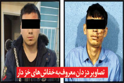 «خفاش‌های خزدار» زیر نورافکن‌های پلیس