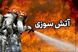 آتش‌سوزی در سمنان؛ ۵ شهروند و ۲ آتش‌نشان مصدوم شدند/ ویدئو 