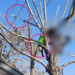 برق‌گرفتگی جان کارگر شهرداری تبریز را گرفت