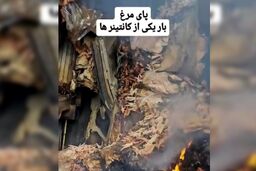 گفتگو با راننده کانتینر پای مرغ در انفجار بندرعباس/ ماجرای عجیب ترین بار اسکله شهید رجایی چه بود؟/ ویدئو