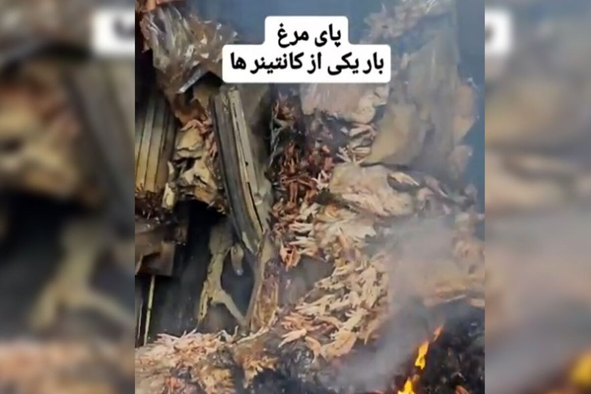 گفتگو با راننده کانتینر پای مرغ در انفجار بندرعباس/ ماجرای عجیب ترین بار اسکله شهید رجایی چه بود؟/ ویدئو