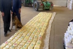 کشف ۵۰۰ کیلوگرم موادمخدر در لرستان