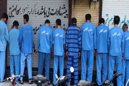 ۱۳۶ باند سرقت ‌ در کرمان متلاشی شد