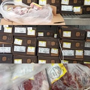 کشف چندین تن گوشت قرمز احتکاری در تبریز 