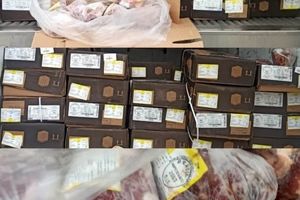 کشف چندین تن گوشت قرمز احتکاری در تبریز 