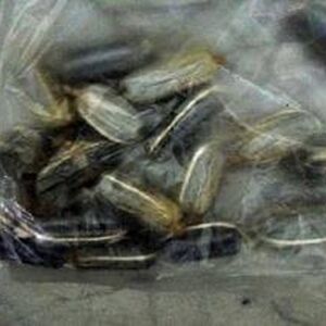 مرد مسافر که 30 بسته تریاک قورت داده بود دستگیر شد 