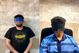 اولین اعترافات متهمان به قتل دانشجوی دانشگاه تهران/ ویدئو
