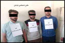 اعتراف سرکردگان «کلاهبرداری‌های موریانه‌ای»