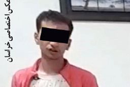 ماجرای عجیب سرقت های دایی و خواهرزاده