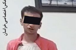 ماجرای عجیب سرقت های دایی و خواهرزاده
