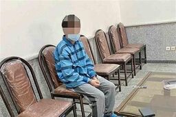 سارق ۴۸ تخته فرش نفیس از دوستش رو‌دست خورد