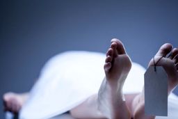 معمای مرگ مرد جوان در محل کار سابقش