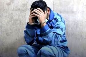 فرد هتاک به مقام شامخ شهدای فردو در قم کمتر از ۲۴ ساعت دستگیر شد 