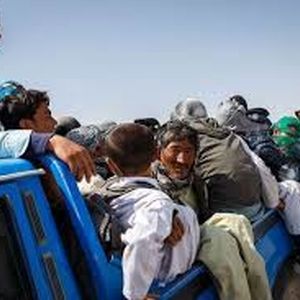 انهدام یکی از بزرگترین شبکه‌های انتقال اتباع غیرمجاز کشور