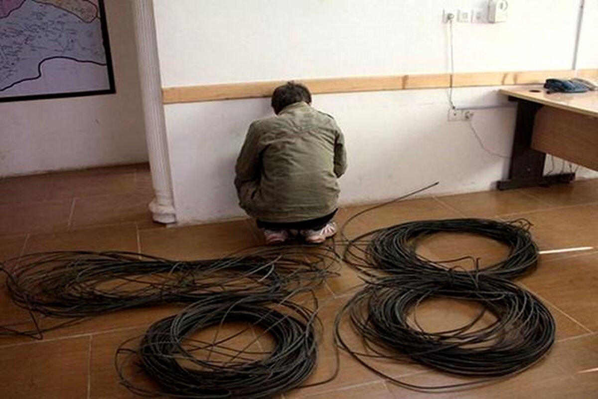 انهدام گروه سرقت کابل برق و پمپ‌های آب 