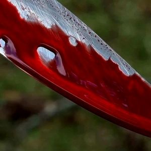 دستگیری مردی که به خاطر اختلاف مالی خون به پا کرد 