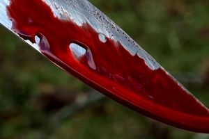 پرونده هولناک قتل خانوادگی/ کودک ۱۲ ساله قاتل پدر شد 