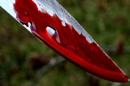 قتل پسر 19 ساله افغانستانی با ضربات چاقو در تهران