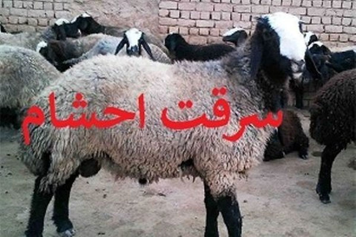 انهدام باند سارقان احشام در سمیرم
