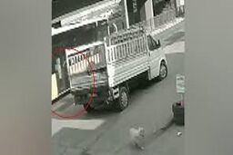 لحظه دلخراش زیر گرفتن یک دانشجو توسط اتوبوس در پی فرار از سگ/ ویدئو